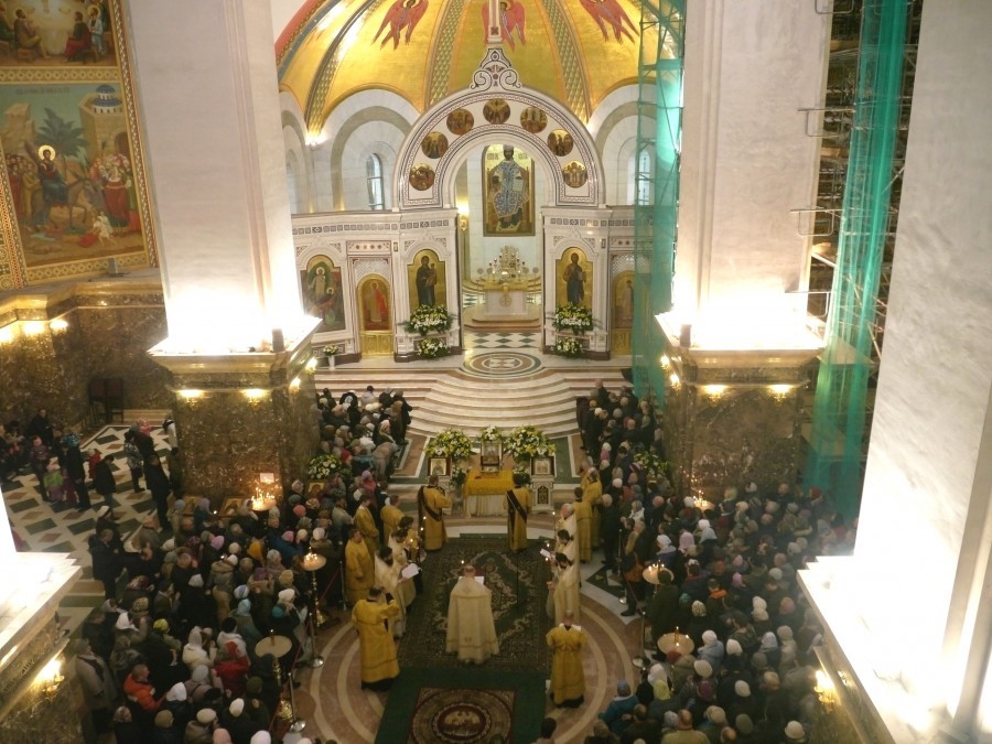 onlineimageresize_com_P1200978